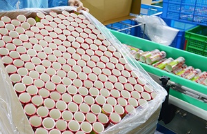 市面上紙罐包裝價格波動大嗎？
